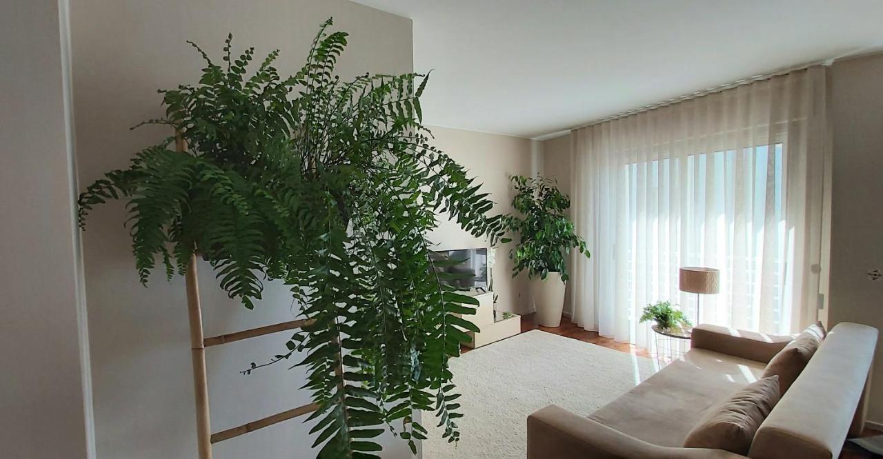 Jardim Na Praia マトジニョシュ エクステリア 写真