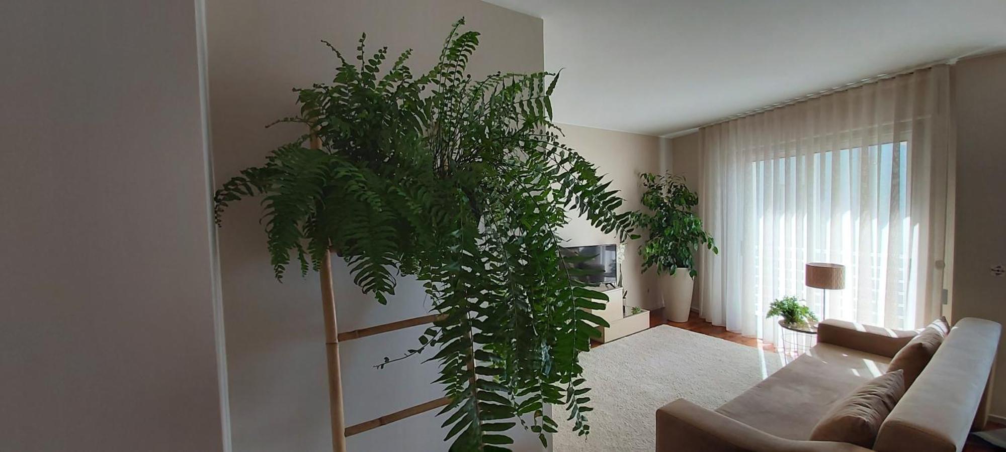 Jardim Na Praia マトジニョシュ 部屋 写真